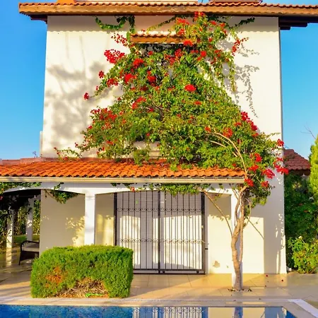 Villa Gorgeous Secluded With Private Pool And Bbq In Antalya *